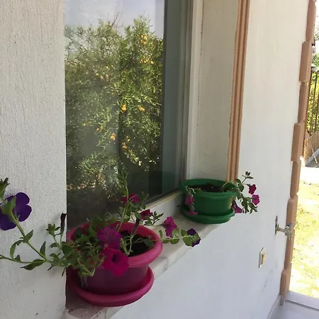 Natural Village אכסניה