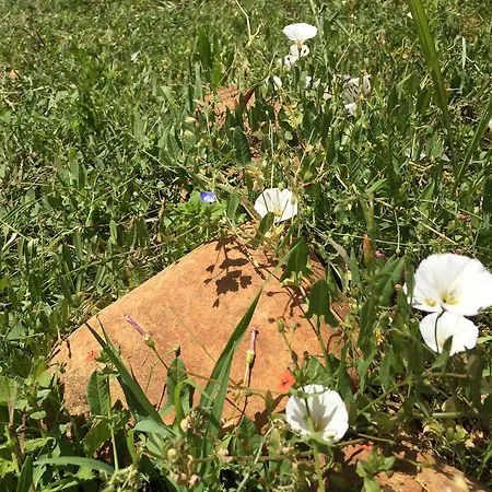 Natural Village * דליאן