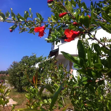 Natural Village אכסניה