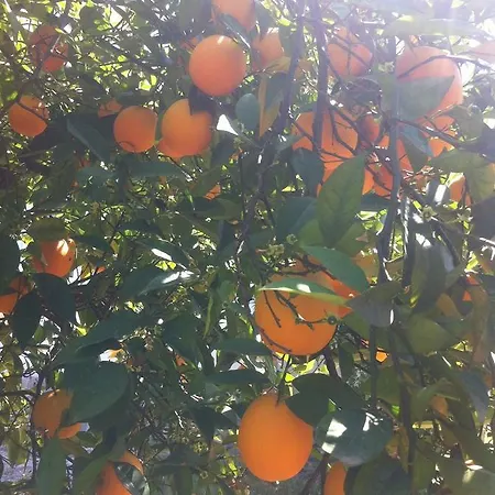 Natural Village אכסניה *